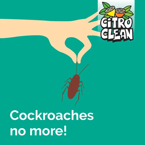 Cockroaches be GONE!