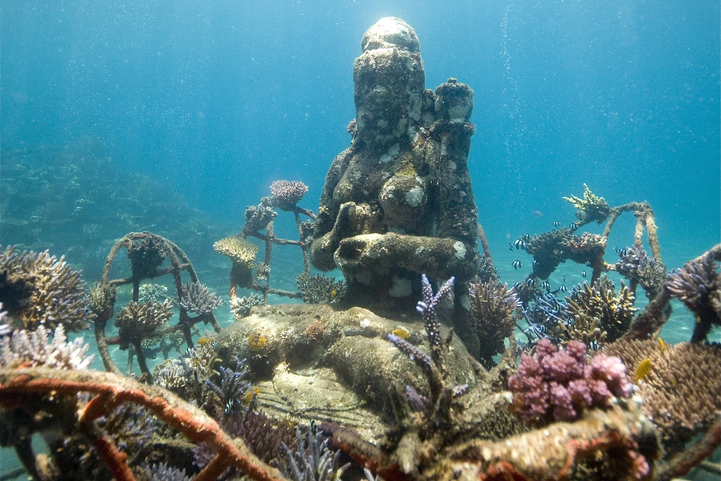 coral goddess by Dray Van Beeck.jpg