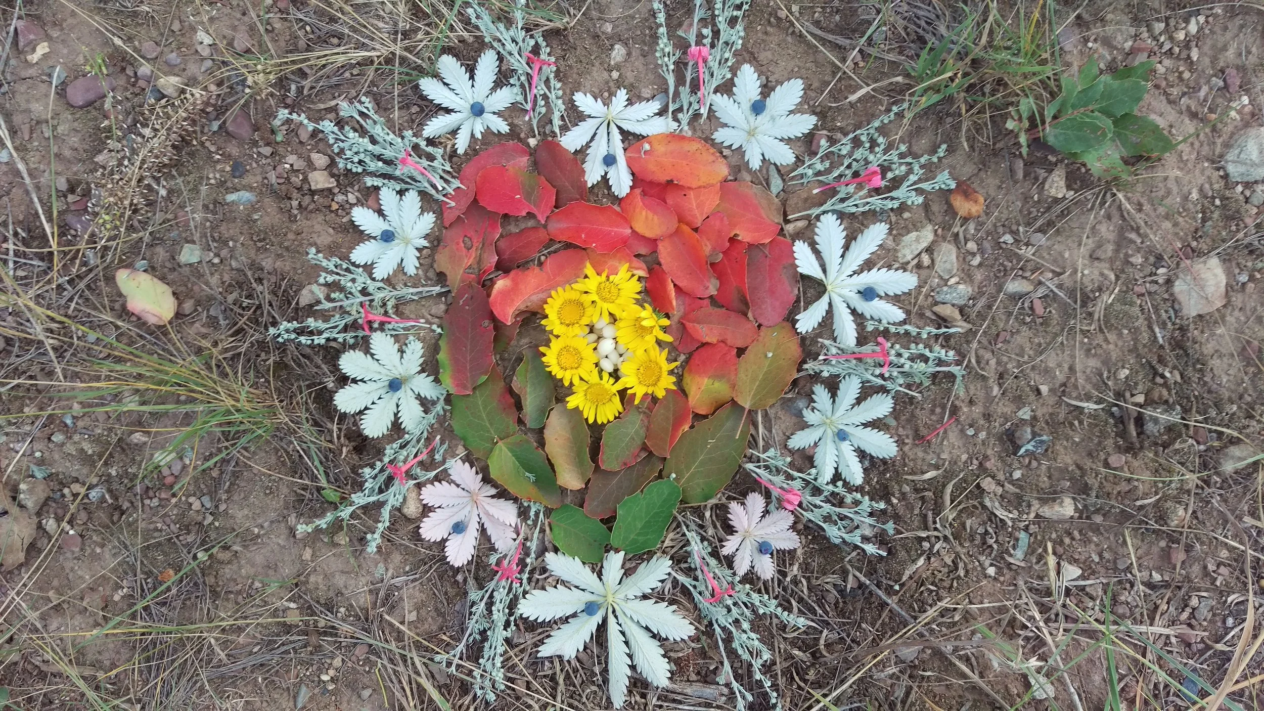 IMAG3088.jpg