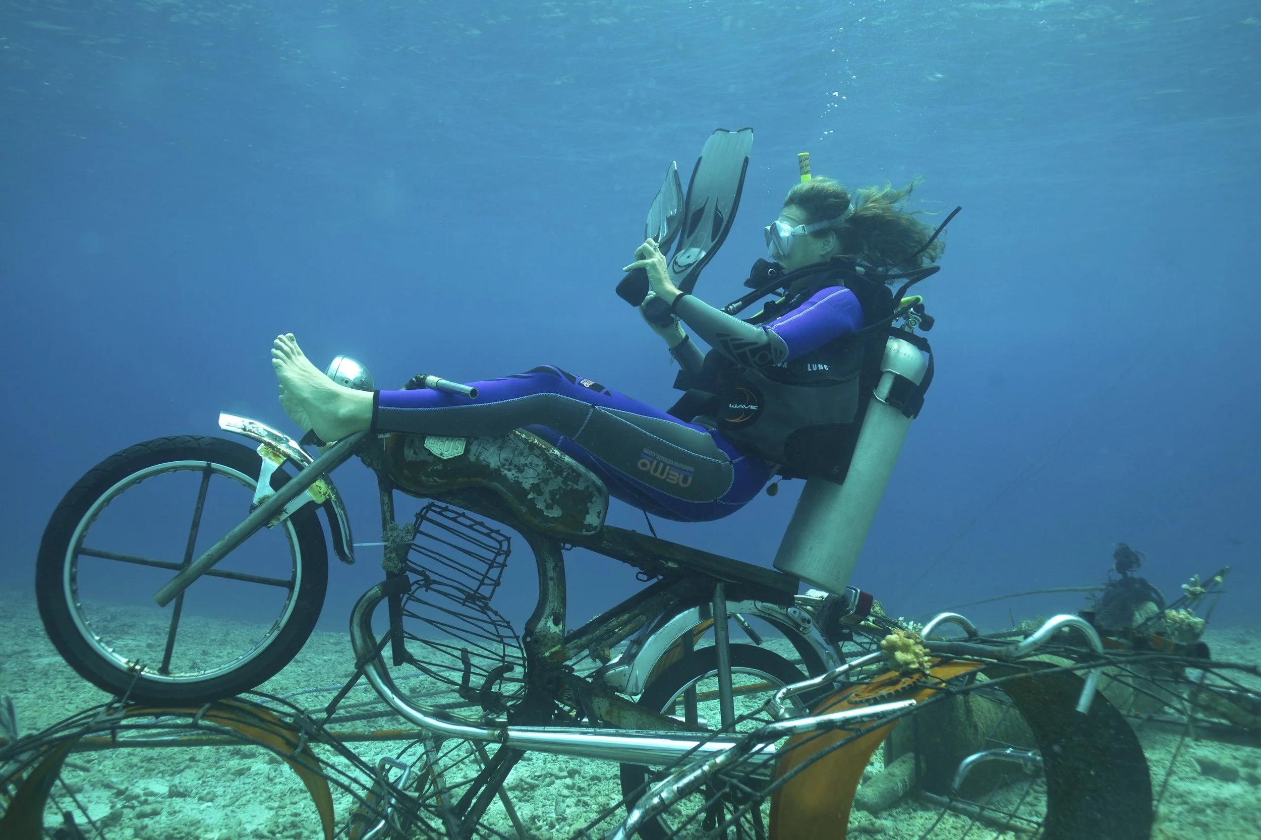bio reff project_12-11_gili_5828.jpg
