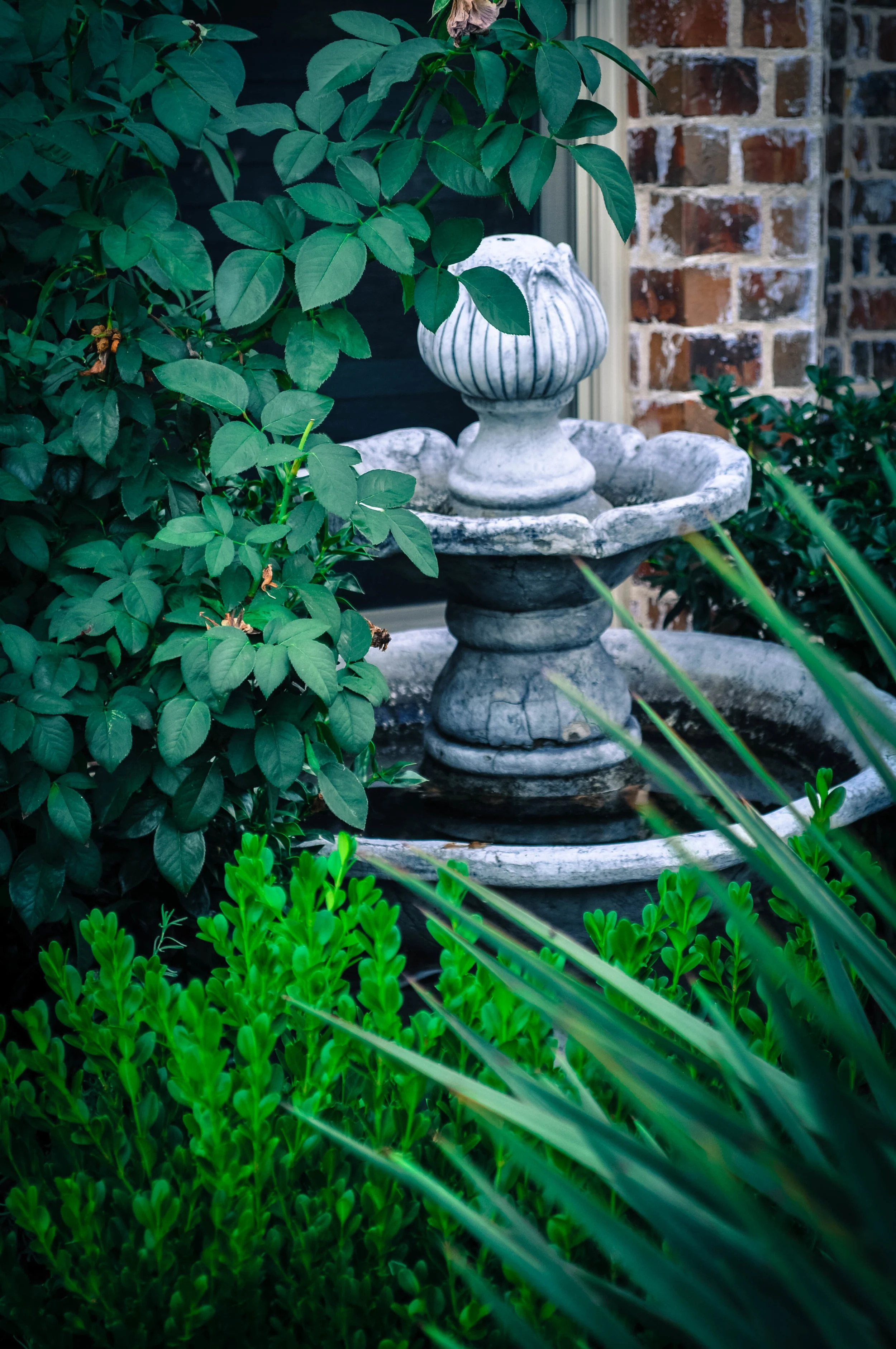 DSC_0391.jpg