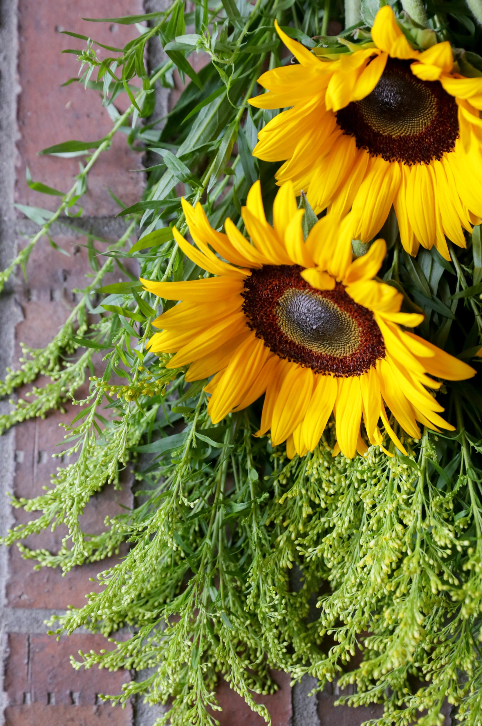 2016 - 10 WILDFLOWERS (96 of 147).jpg