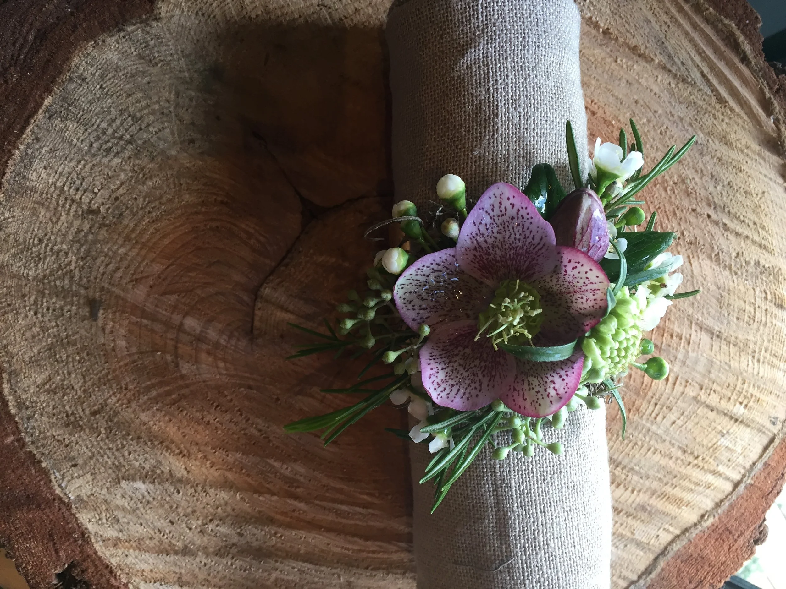 Hellebores
