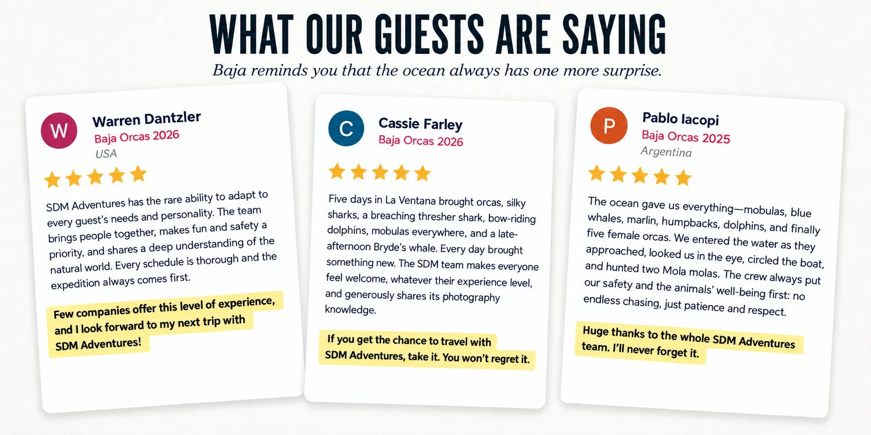 Guest reviews from SDM Adventures’ Baja Orcas expeditions describing encounters with orcas, whales, dolphins, sharks, mobula rays, and other marine wildlife.