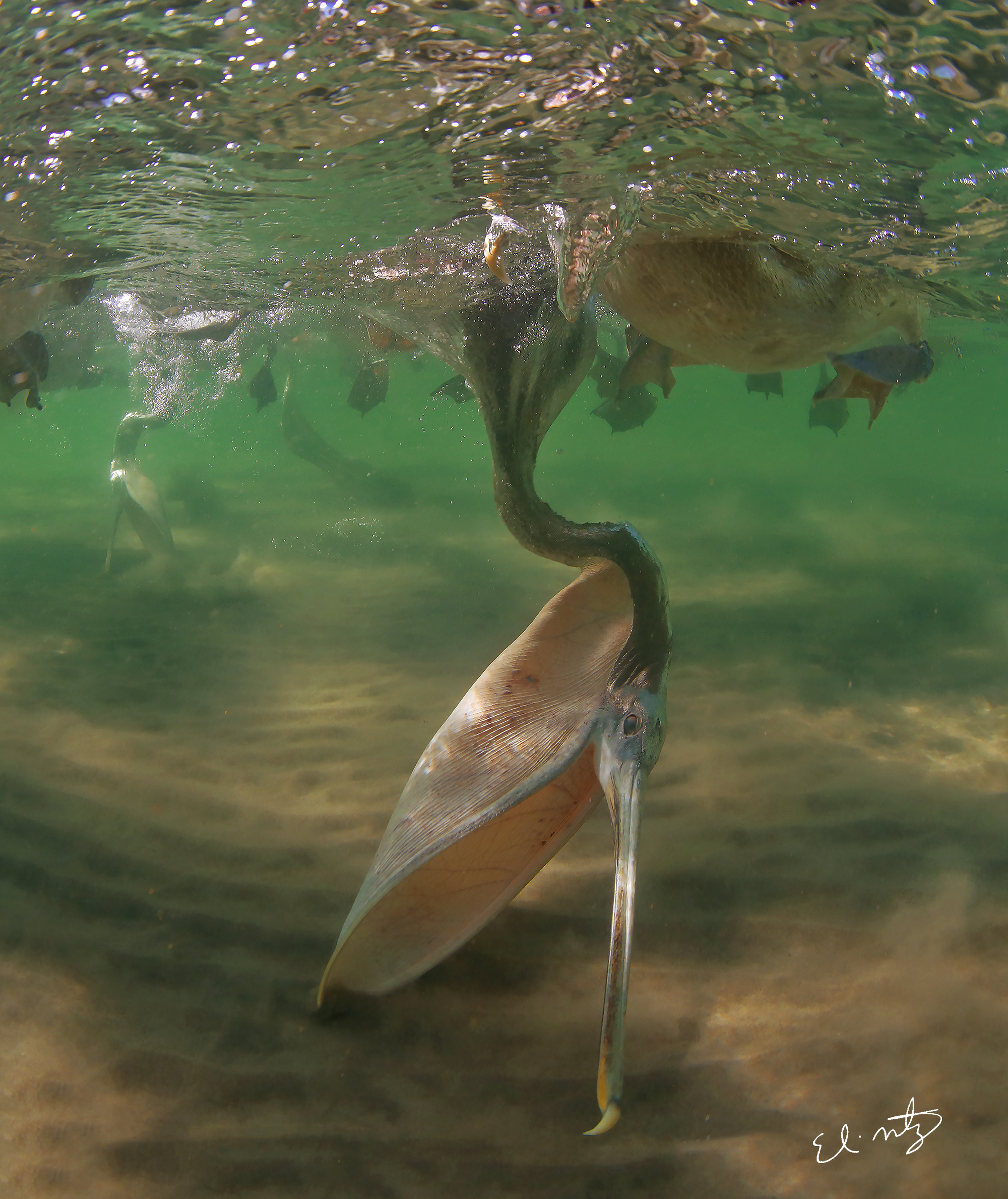 Dive Adventure Blog Sdm Diving