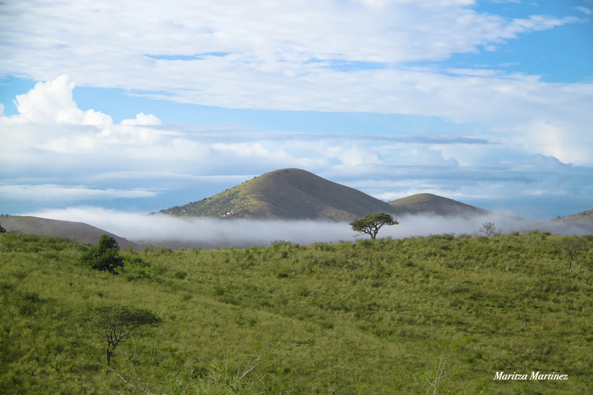 landscape.jpg