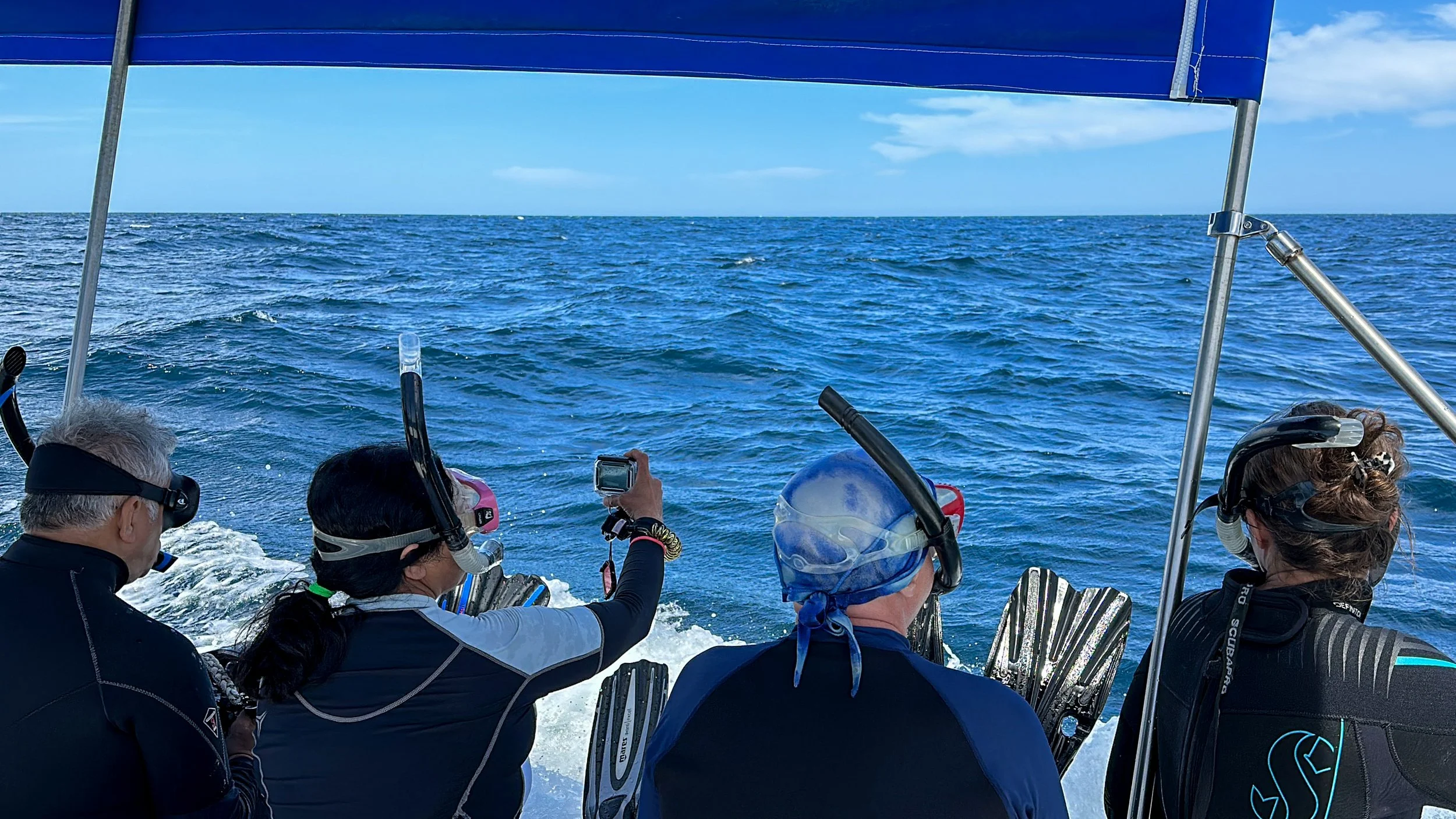 Wildlife Photography Expeditions Land and Ocean Adventures. — SDM Diving