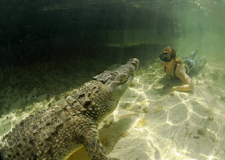 Wildlife Photography Expeditions