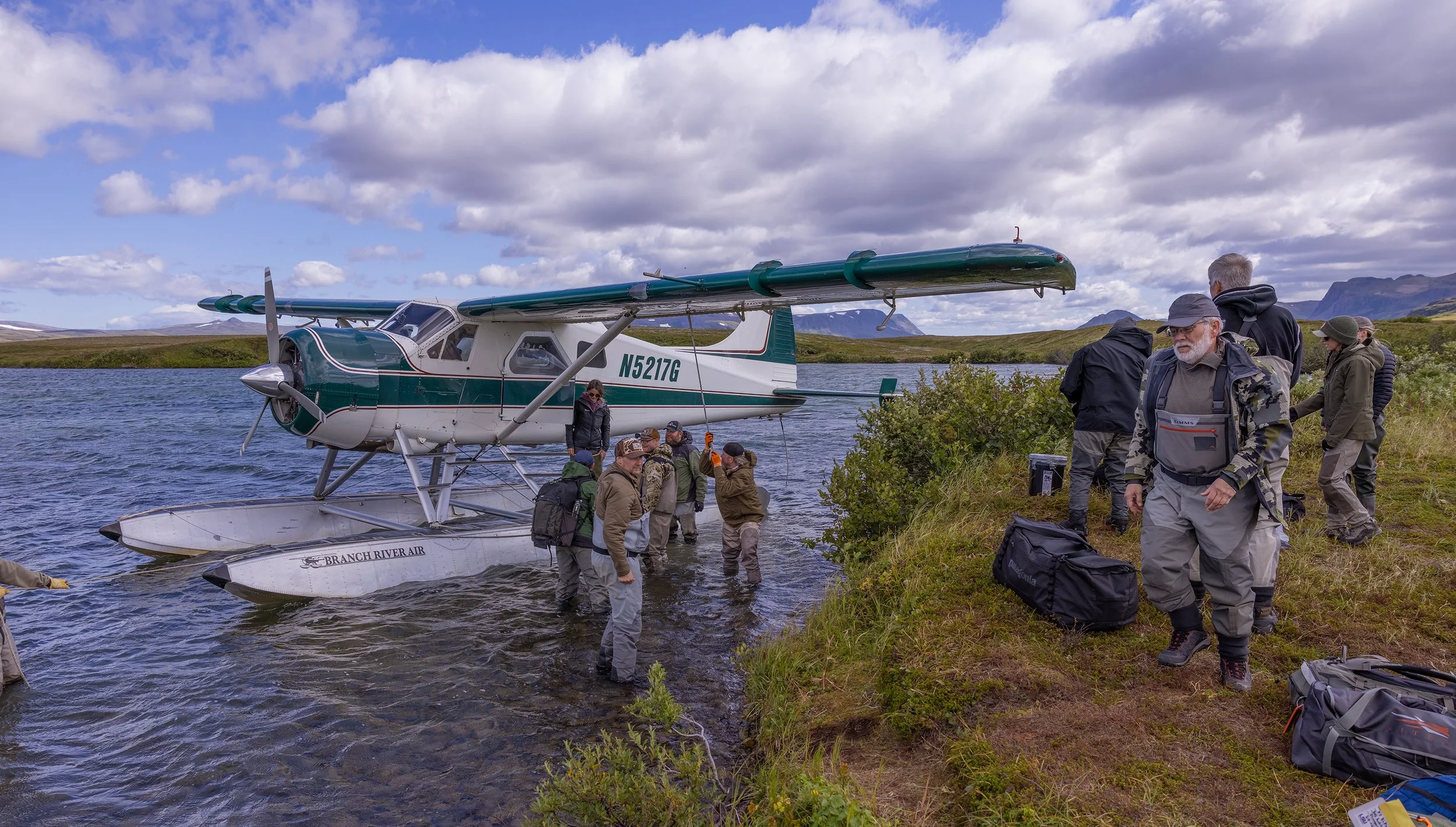 Alaska brown bears 3.jpg