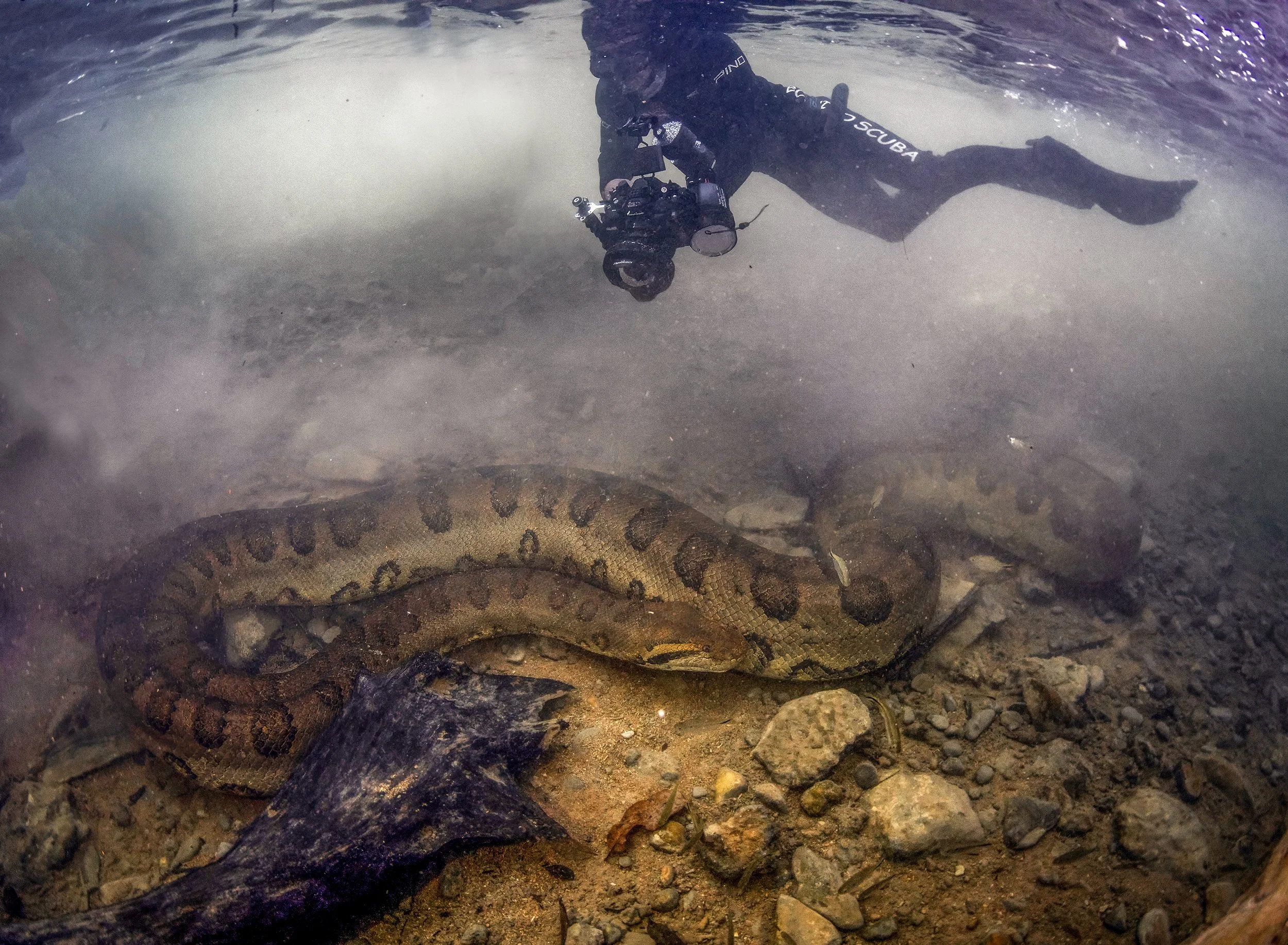 anaconda diving 2 B.jpg