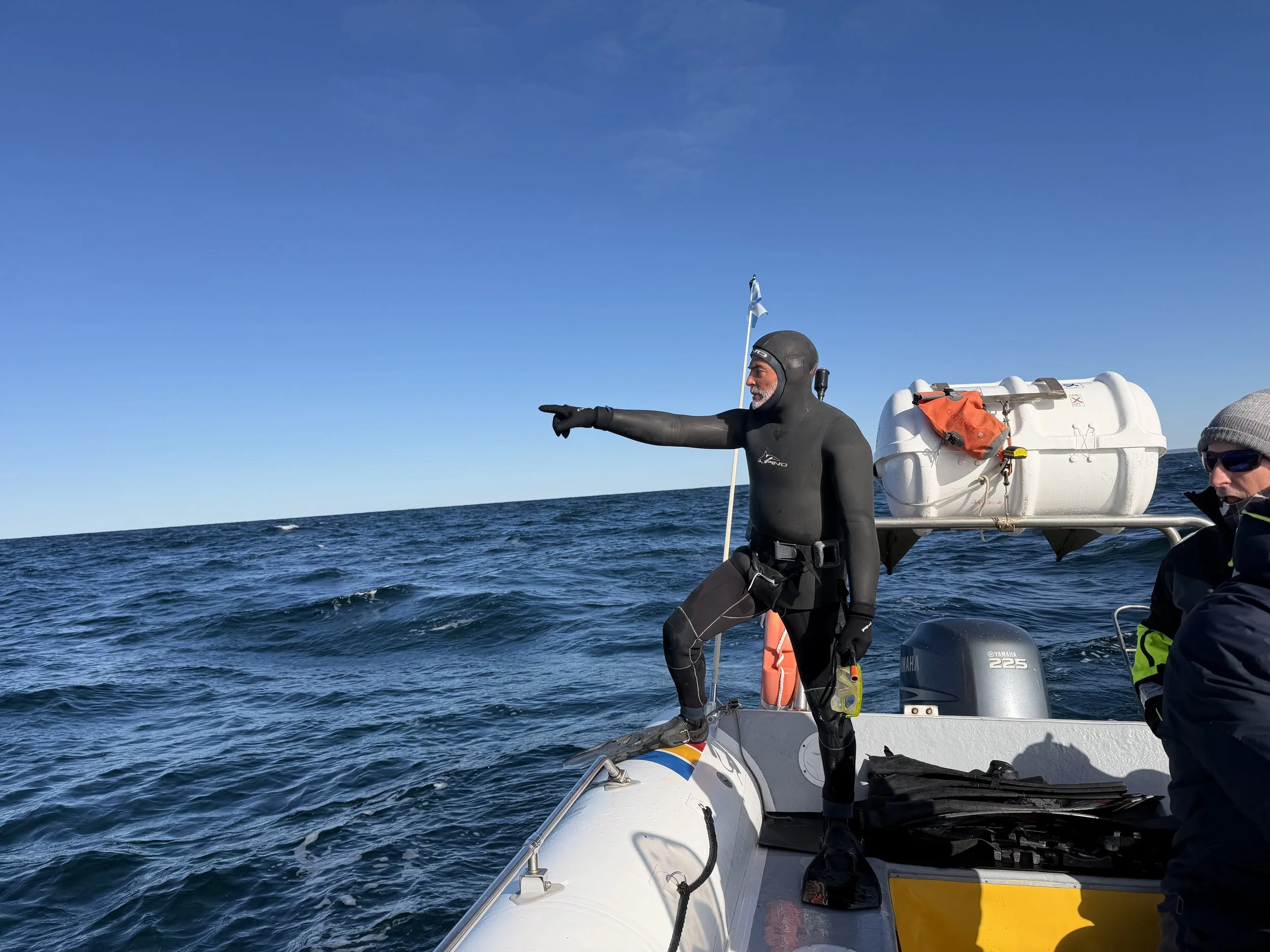 right whale was spotted.