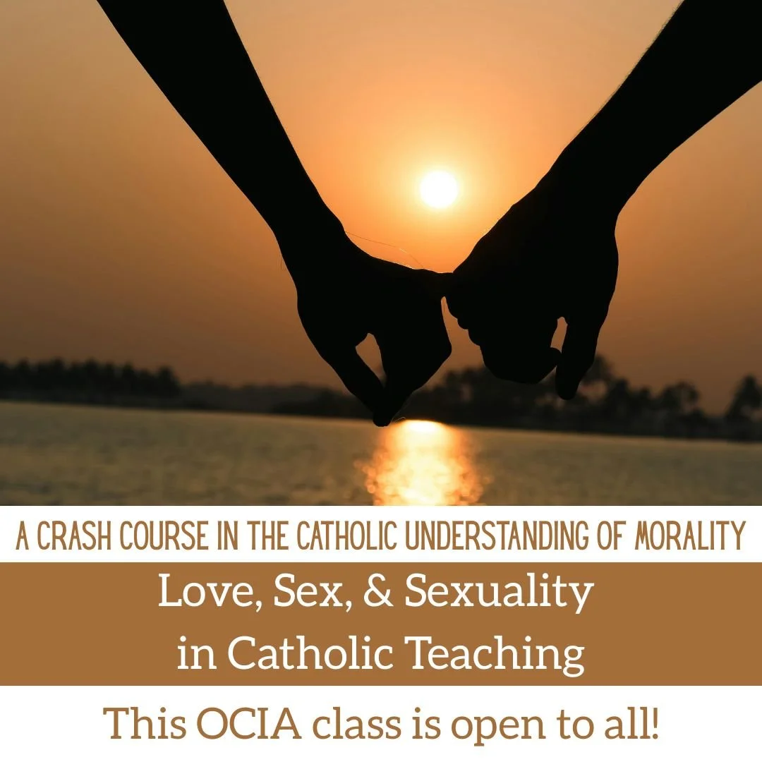 OCIA Moral Theology - OPEN TO ALL!