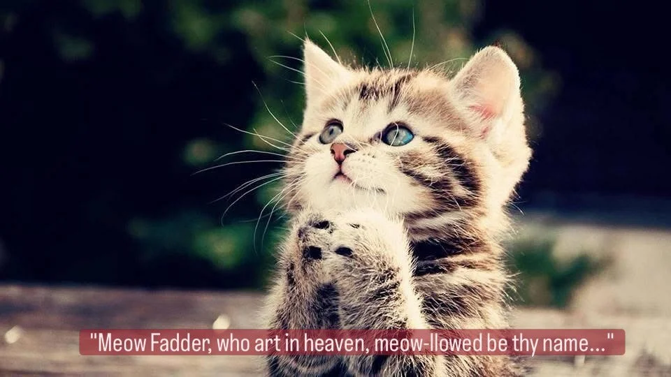 &ldquo;Meow Fadder, who art in heaven, meow-llowed be thy name...&rdquo;