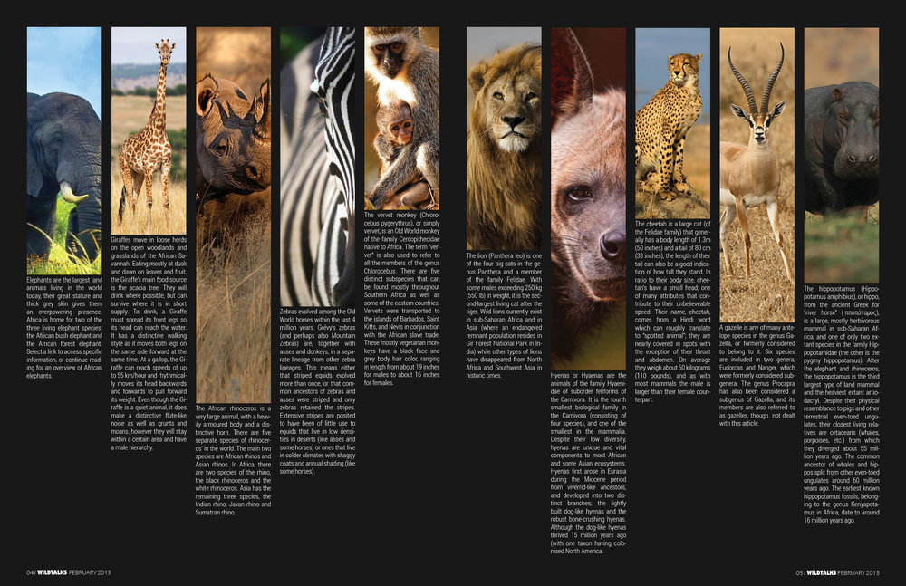 magazine_double_page_spread_by_rayle1112-d5y7suo.jpg
