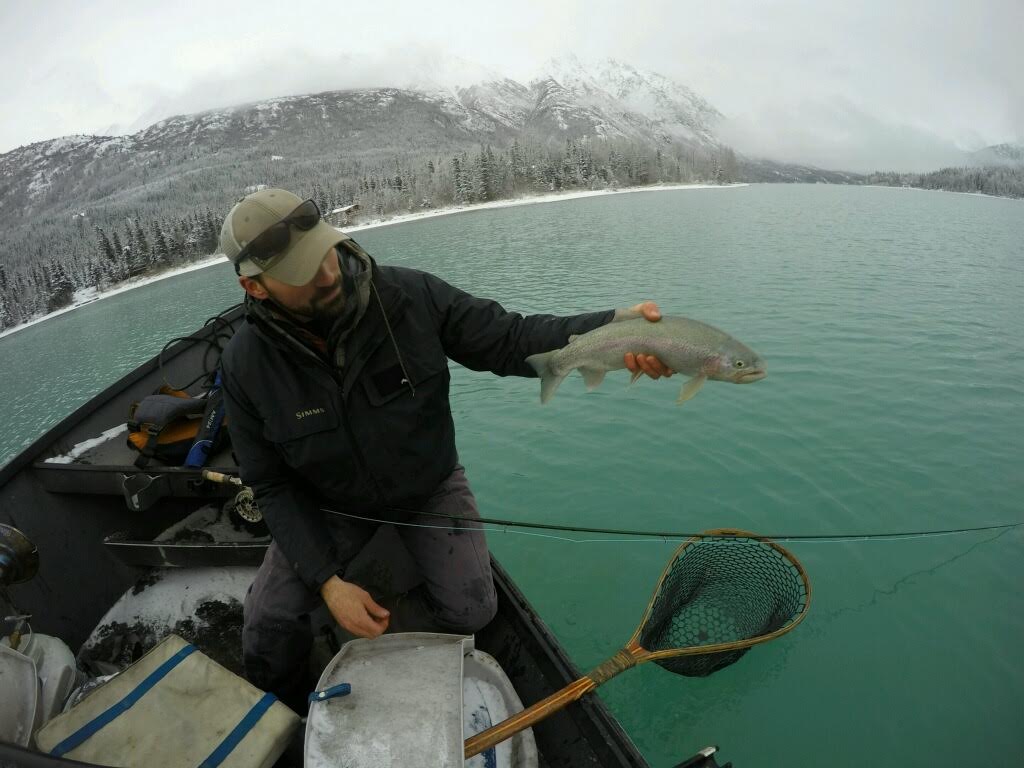 A nice winter Rainbow on the Switch Rod 