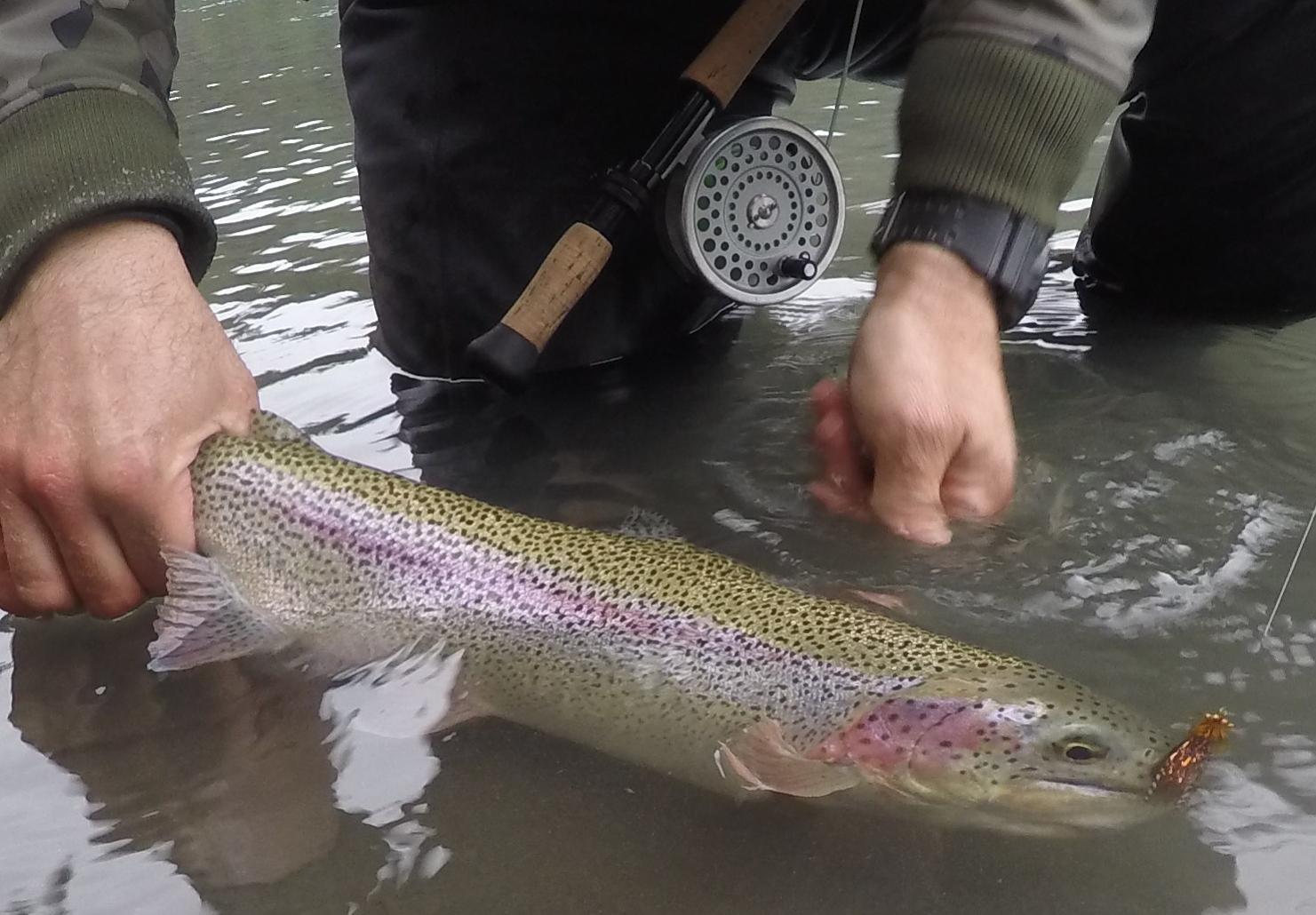 ANOTHER UNSUSPECTING FISH LURED IN BY JR. SCHMOLTY!