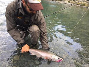 Spey Fishing in Alaska  Kenai & Kasilof Rivers