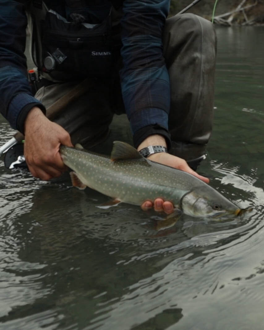 Alaska Rainbow Trout Fishing (2).jpg