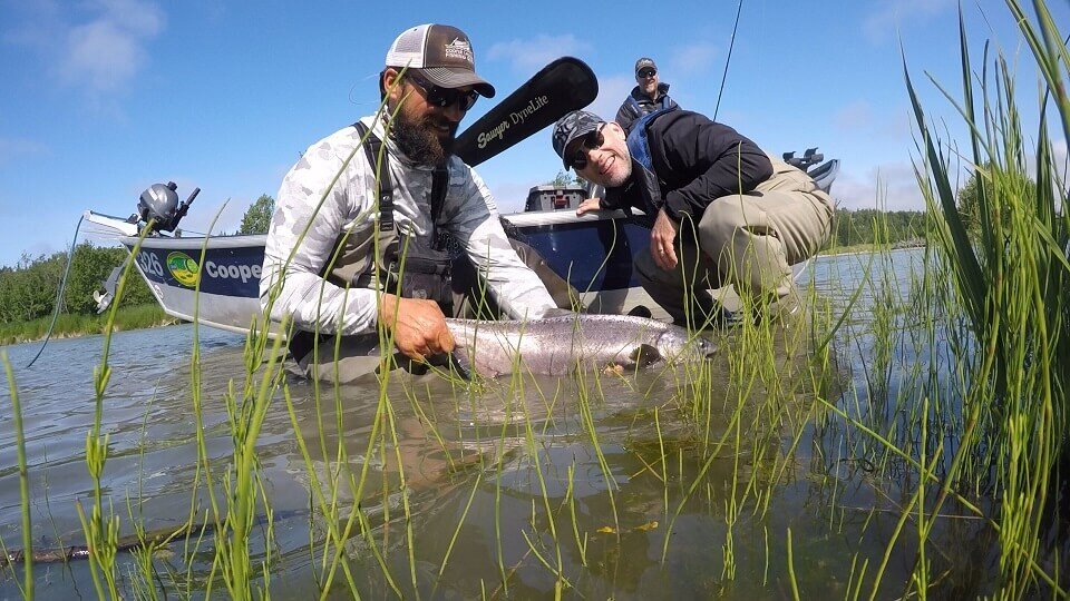 Kasilof River King Salmon Fishing Trips & Guide