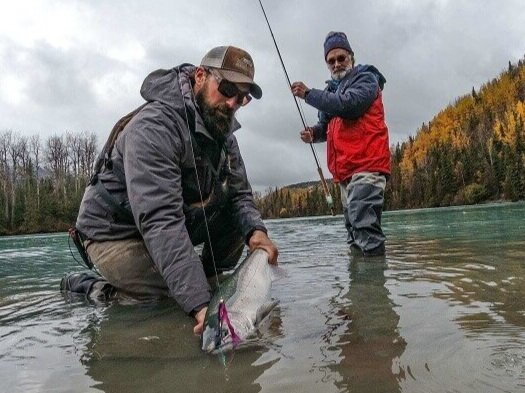https://images.squarespace-cdn.com/content/v1/57c9118c29687f78380dabc2/1608234298557-XPHJE08F0LIJLMFXCPAV/Silver+Salmon+Fly+Fishing+in+Alaska