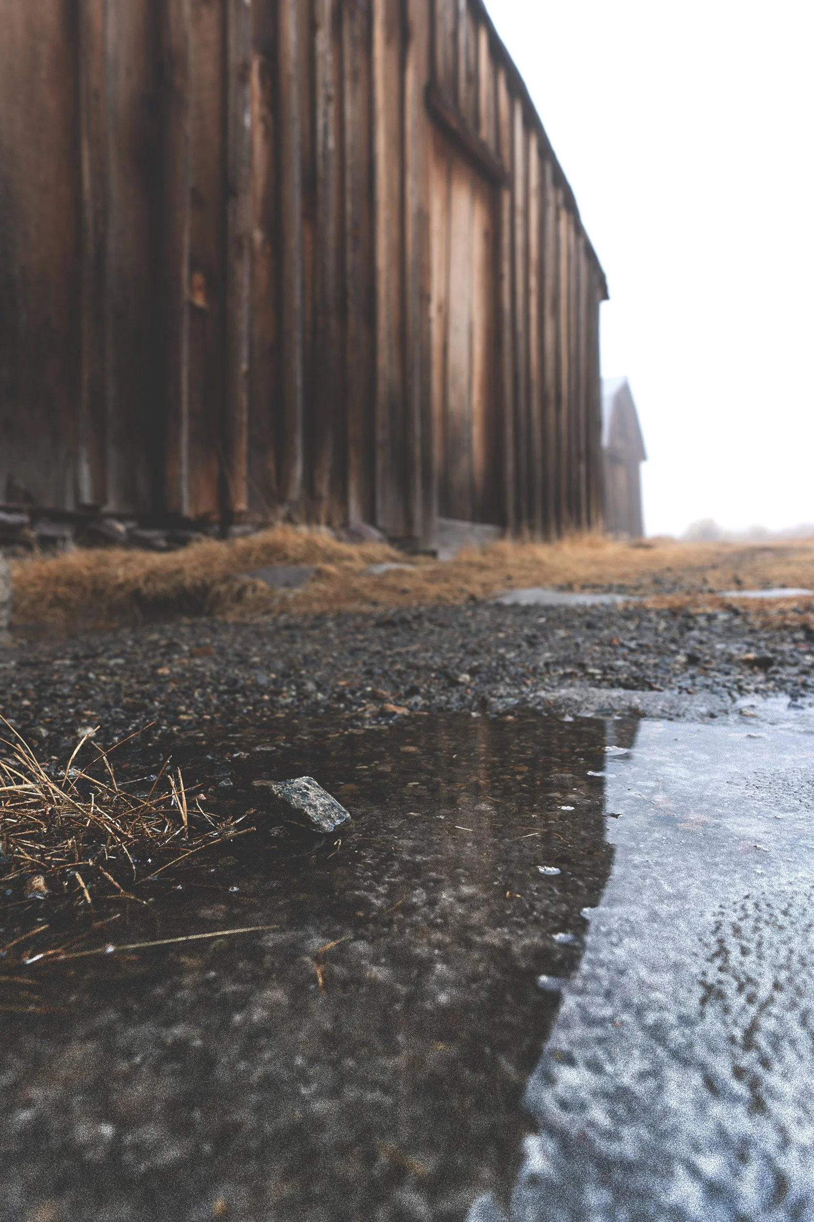 Puddle at Bodie