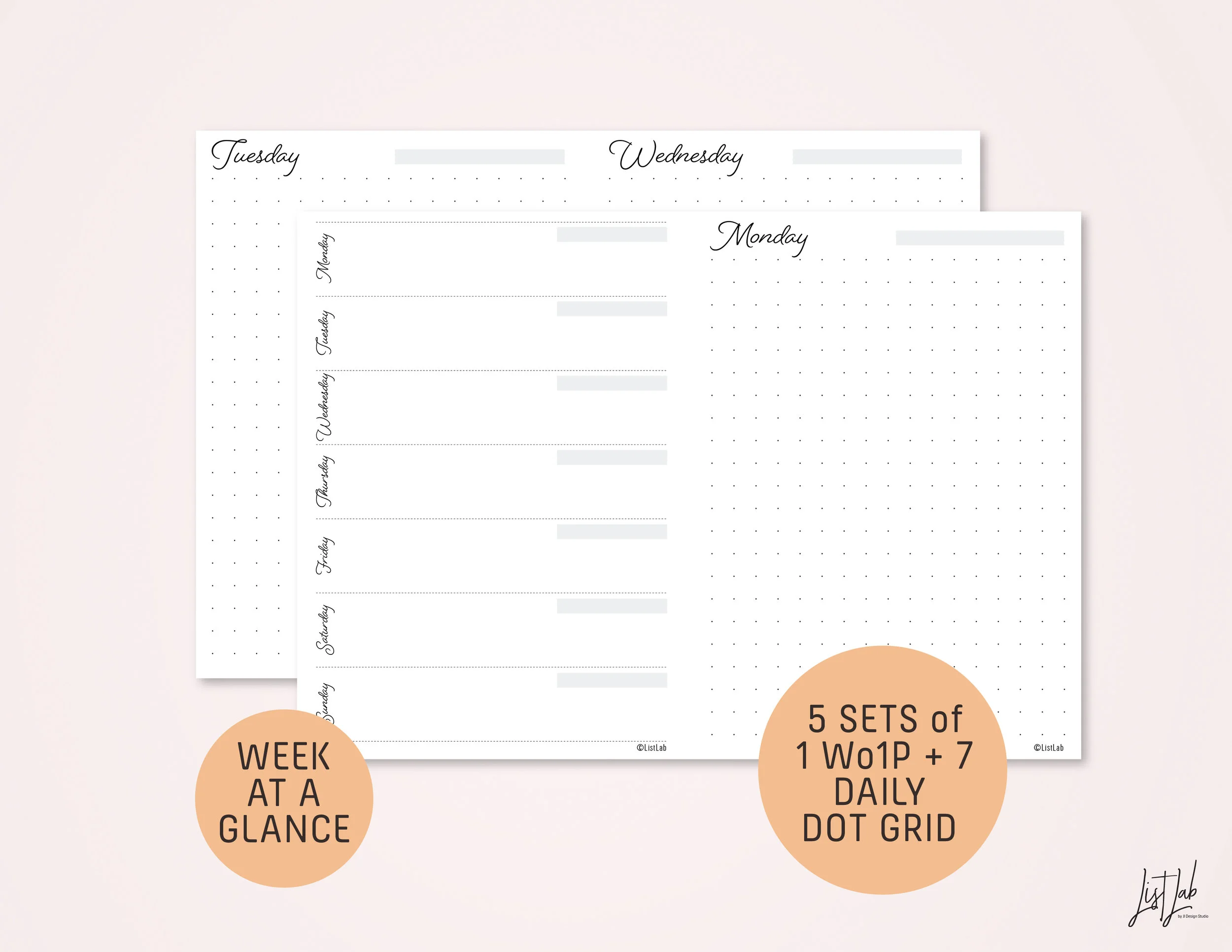 tn_passport_UNDATED_mwd dot grid-03.jpg