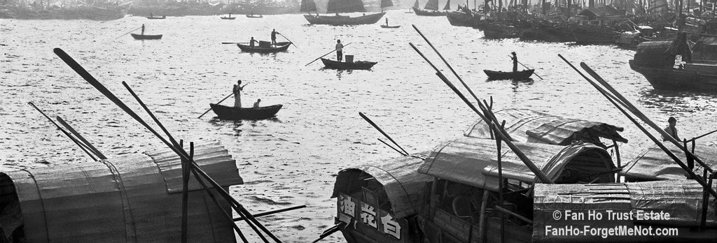 Busy-Harbour