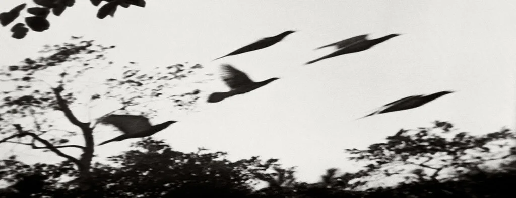 "Portrait of Hong Kong" 《念香港人的舊》—3rd Edition, WE Press 香港人出版