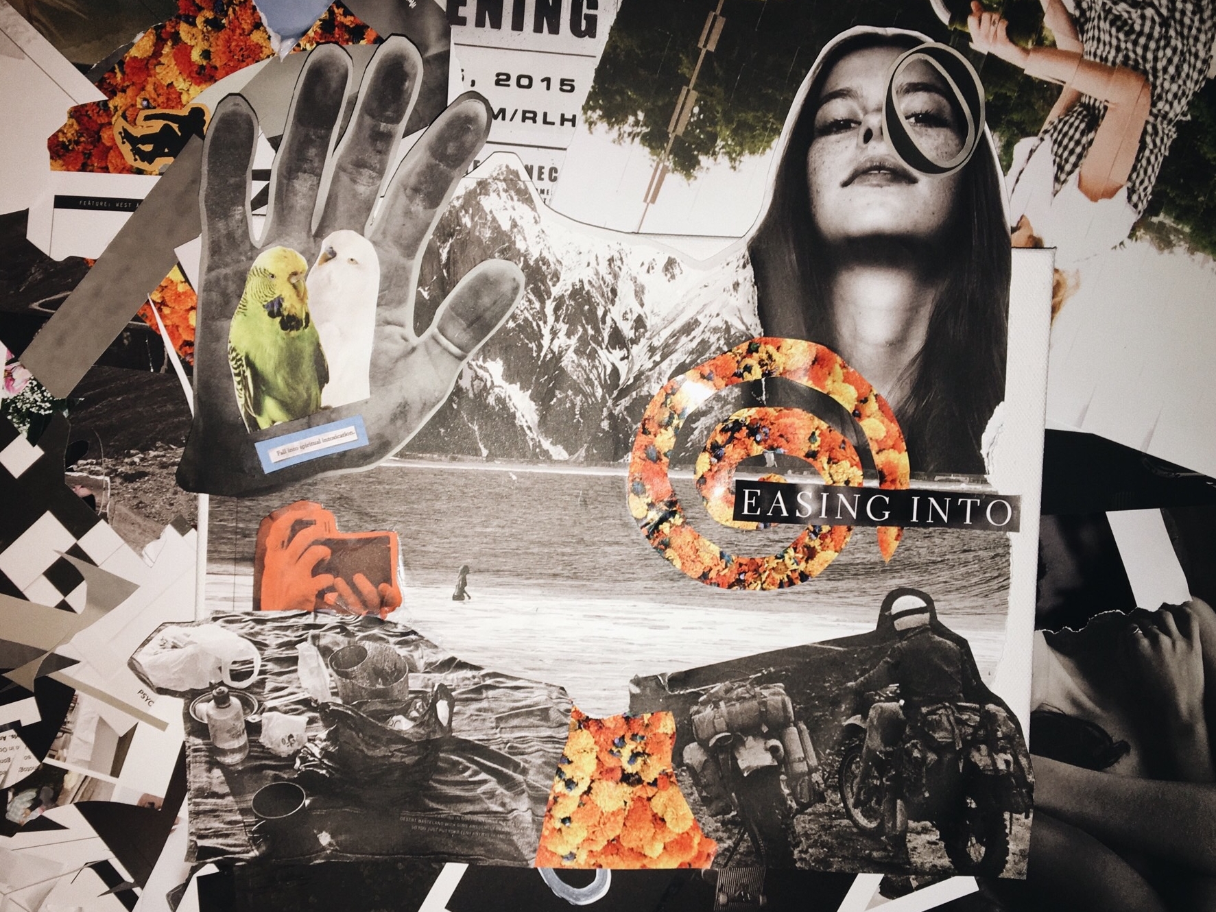 collage, b/w prints + magazine cutouts on canvas