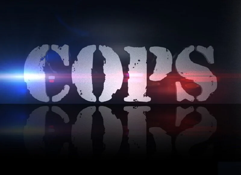 Why COPS is Quintessential American Television