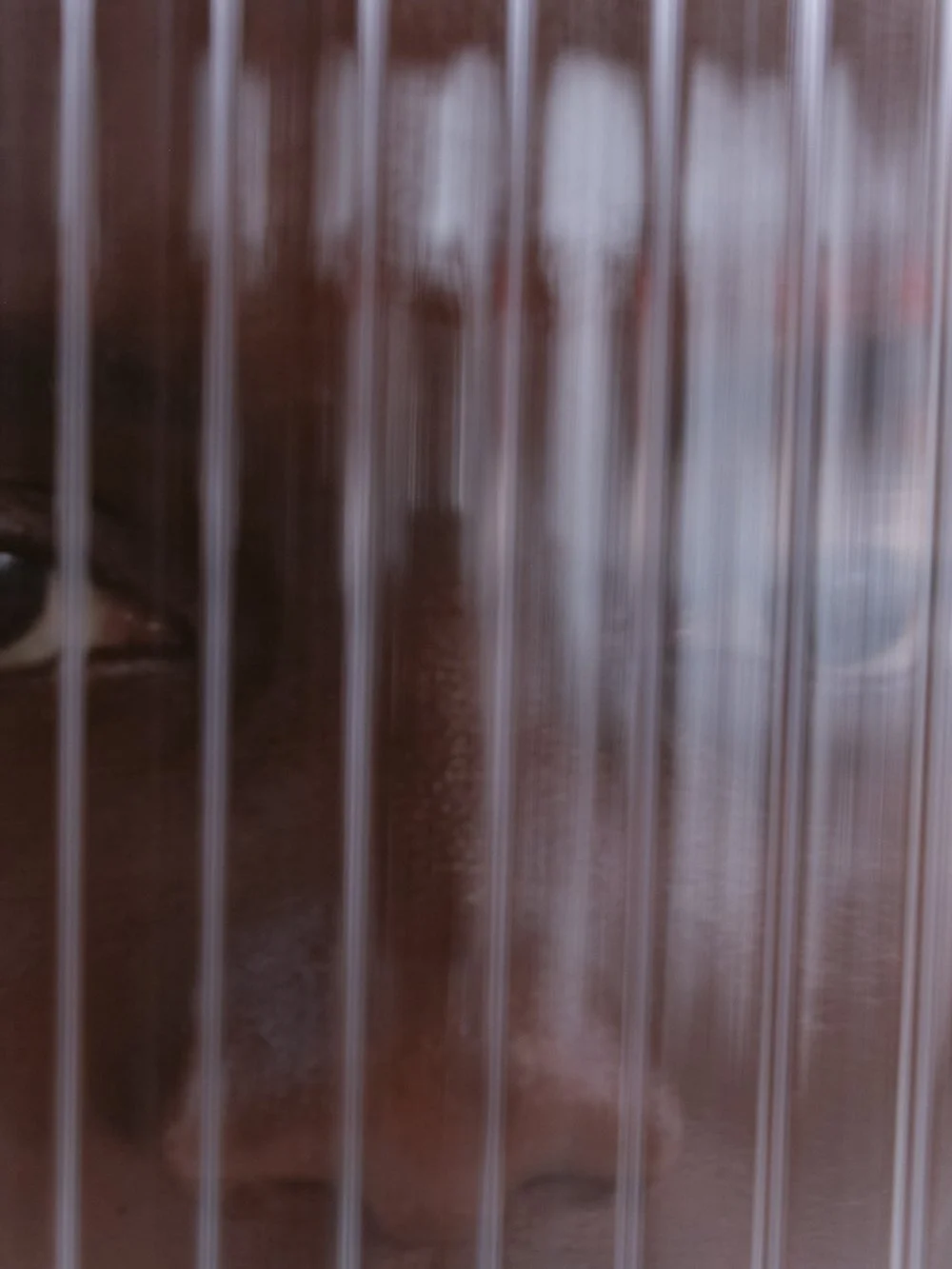 2025-1-00040​_SB_Winter_ HAKA_005-6535.jpg