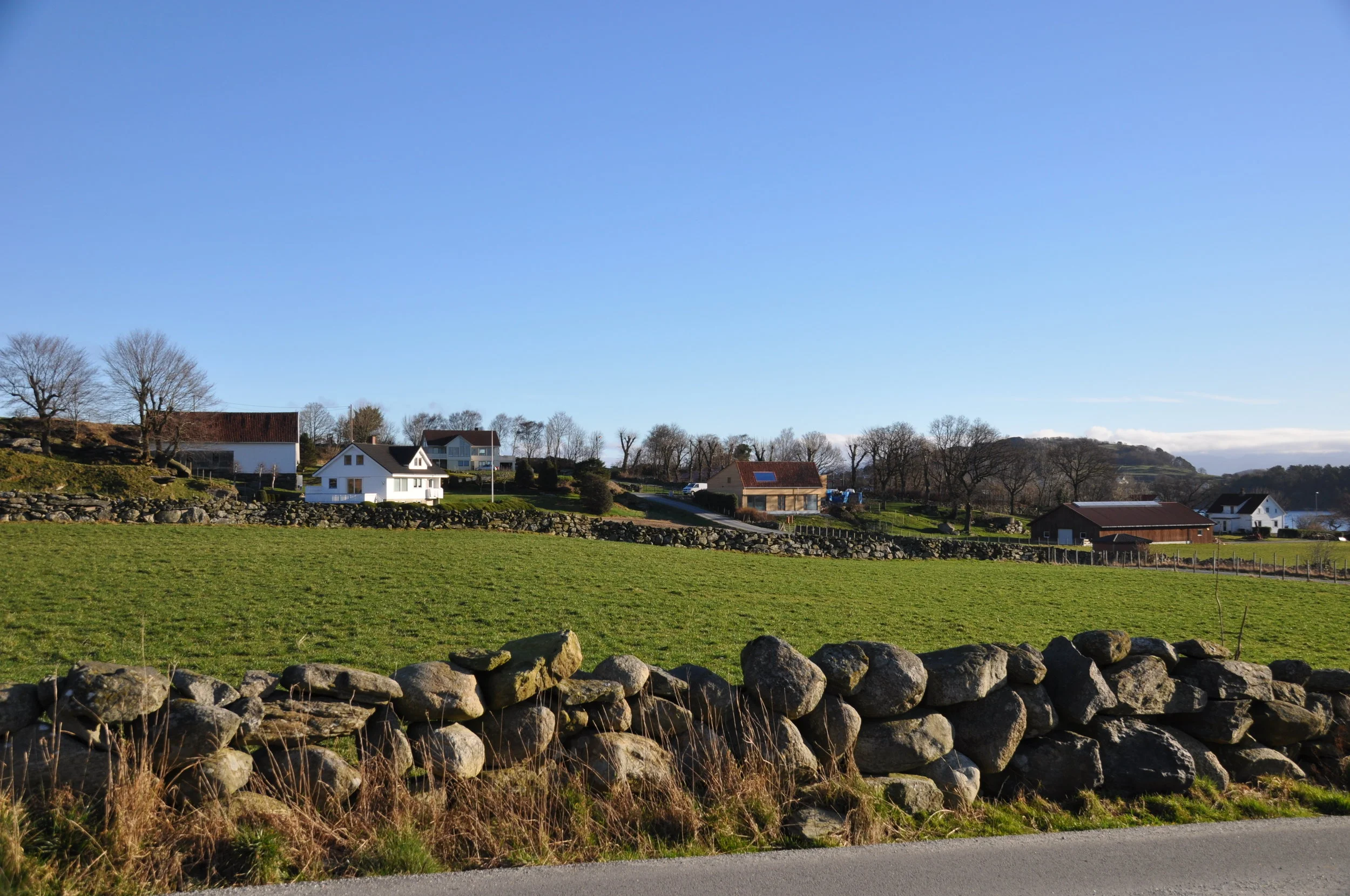DSC_0157.jpg