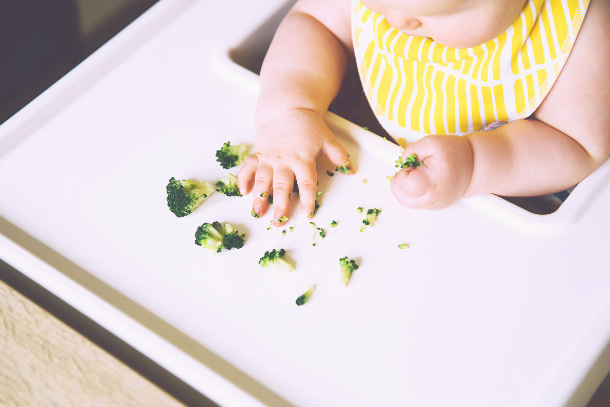 When to Baby Led Weaning: Feed Your Baby With Confidence — Crystal Karges Nutrition - Registered Dietitian in San Diego, CA