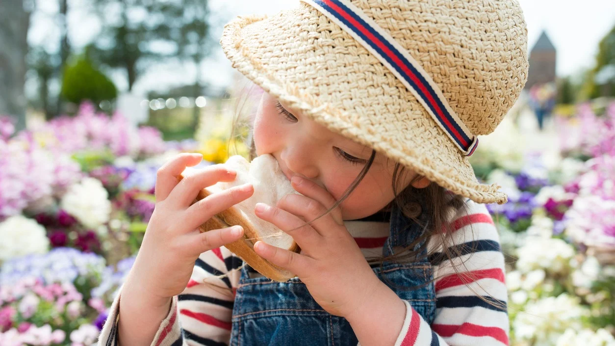 little-girl-eating-lunch.jpg