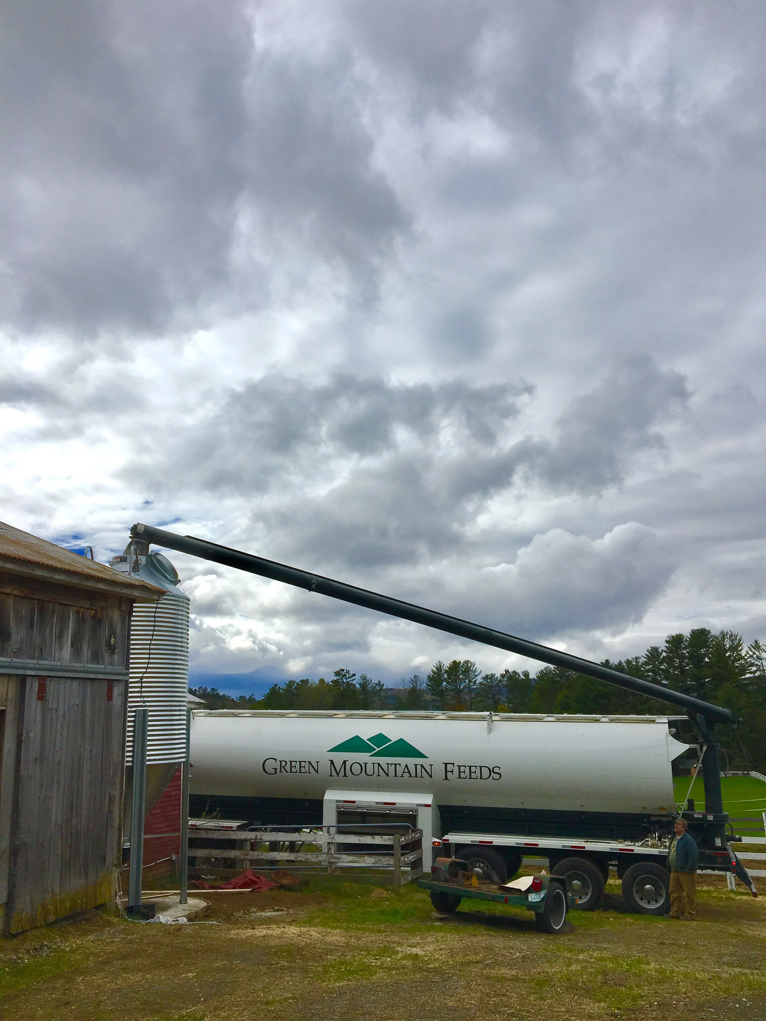 First delivery for the new silo: Green Mountain Feeds! NON-GMO pig feed!