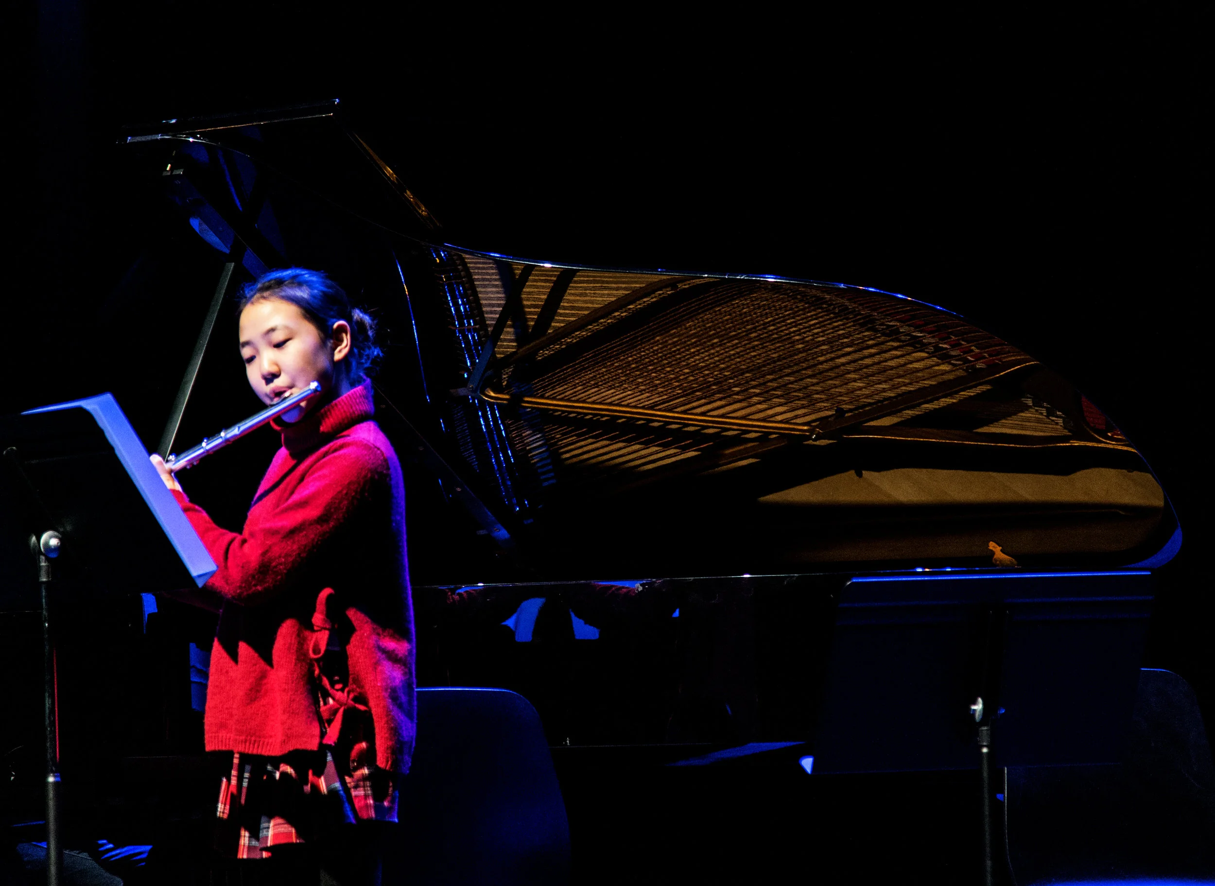 Geneva International School