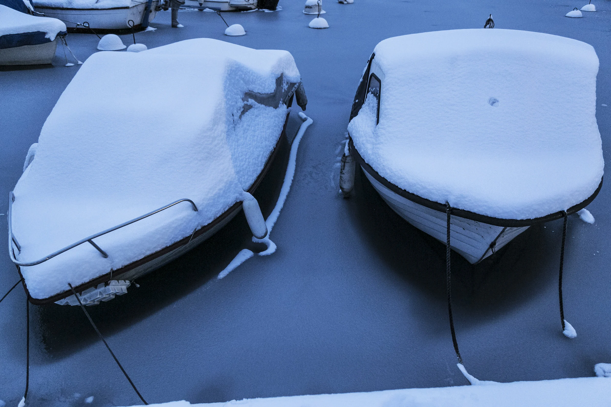Icy blue hour.jpg