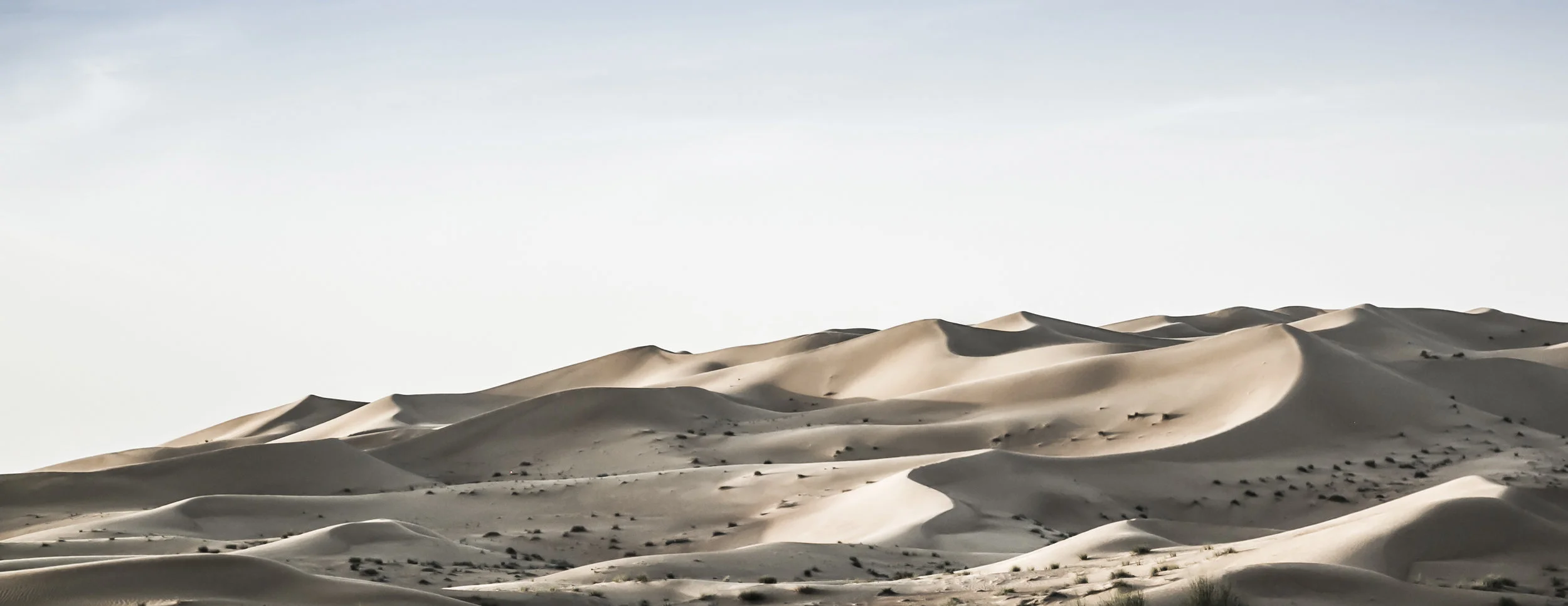 Desert-2430.jpg