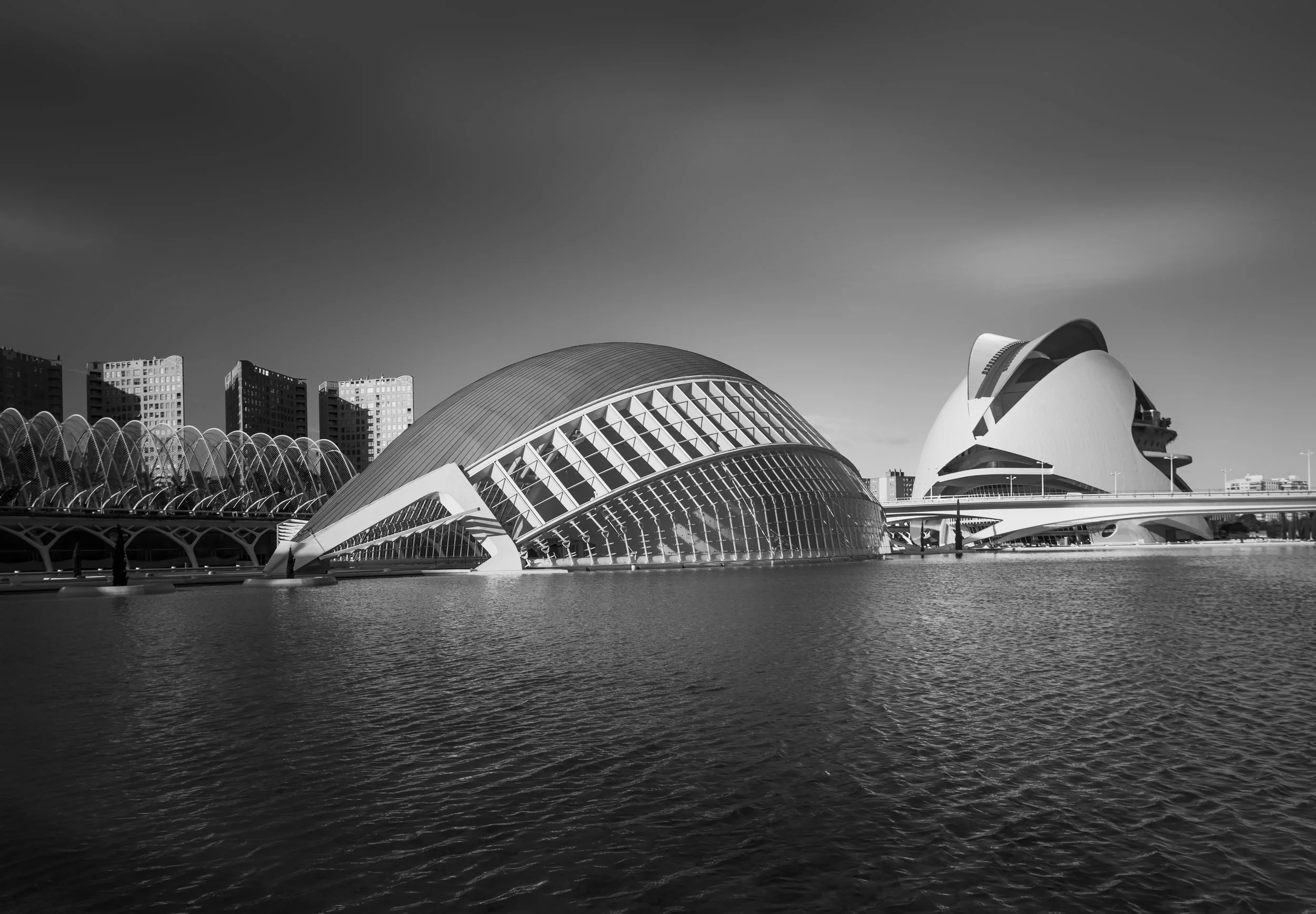 Calatrava-8558_new version.jpg