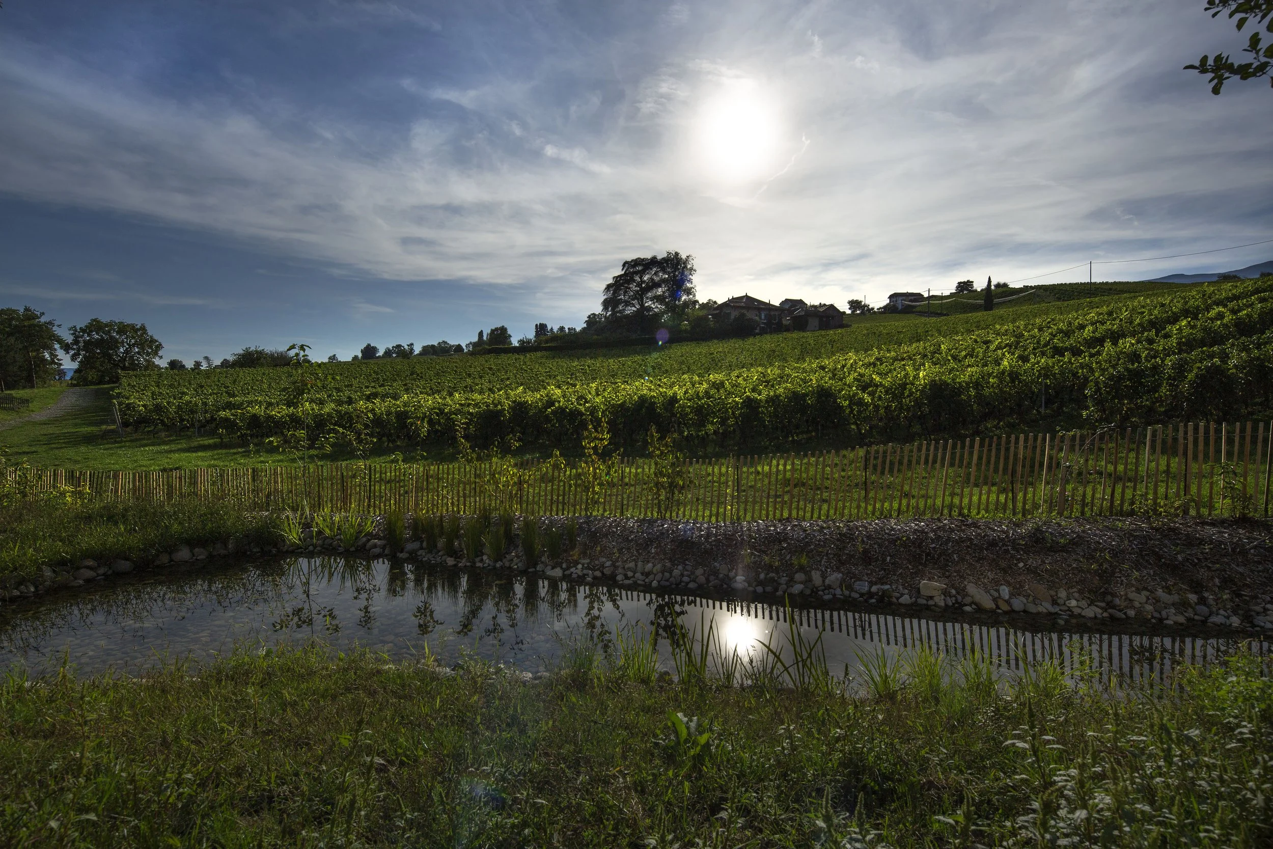 Ecole Mairie, Geneva 