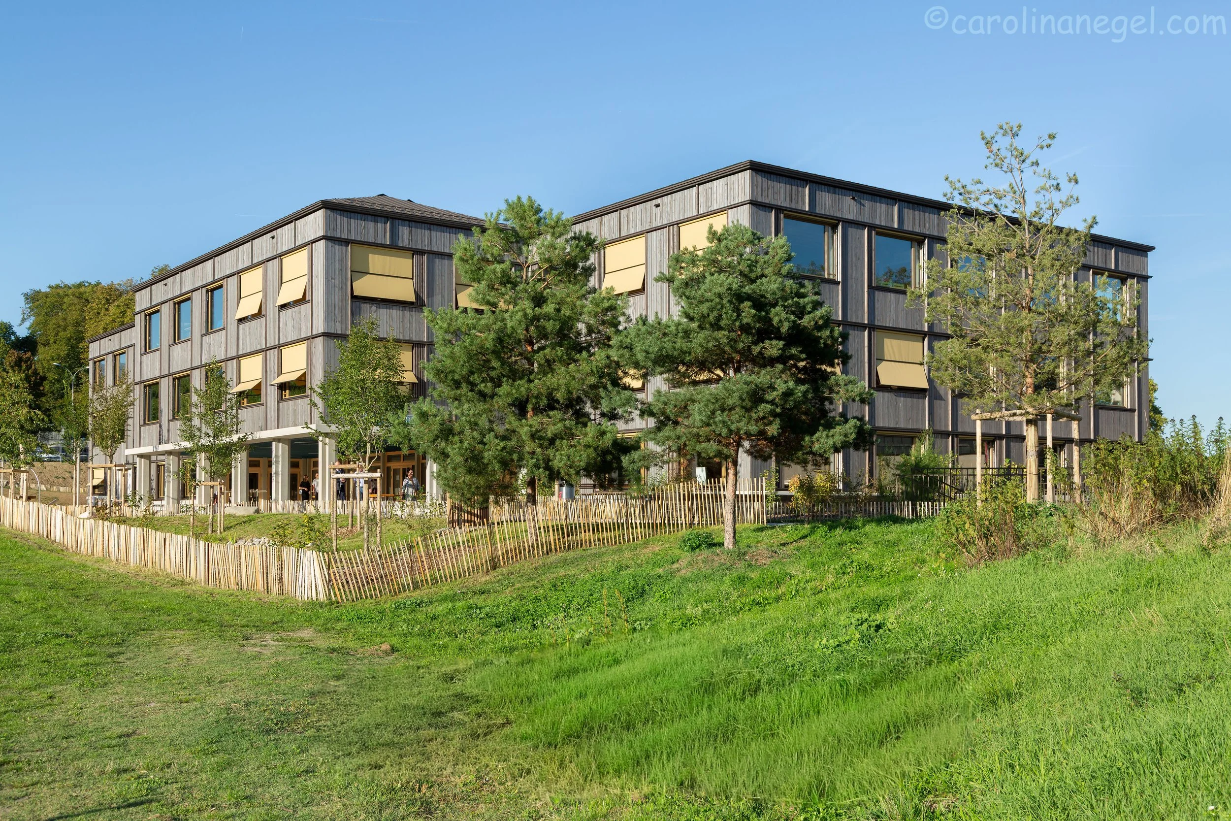 Ecole Mairie, Geneva (Copy)
