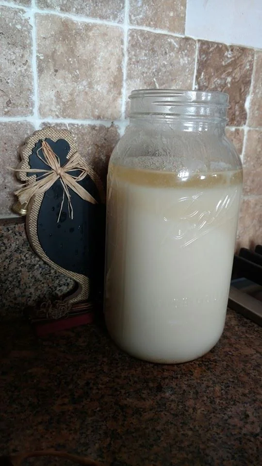 Try to keep the sediment out of the glass jars as you pour. This keeps your lard pure and creamy white. Allow the jars to sit and cool until the lard has solidified. If your house is very warm, the lard may not totally solidify. That’s ok. Just make sure it’s cool before storing.