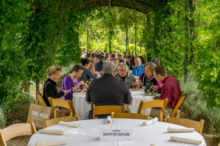 photo courtesy of the Wine & Weed Symposium