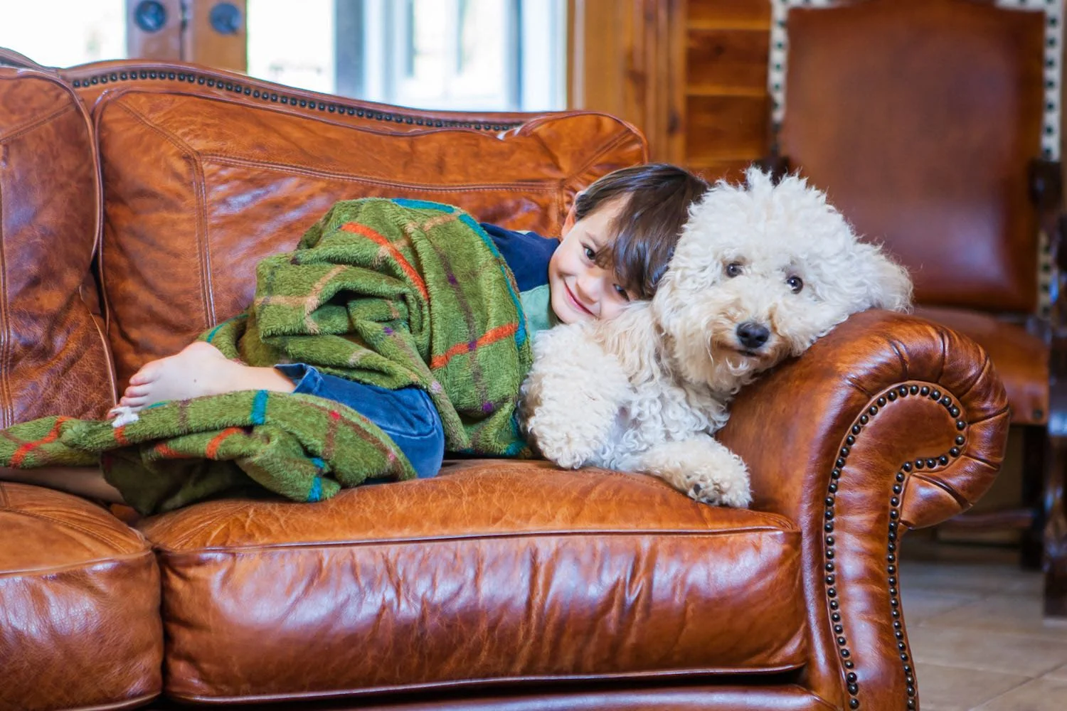 Keepin’ You + Your Pet Comfy!