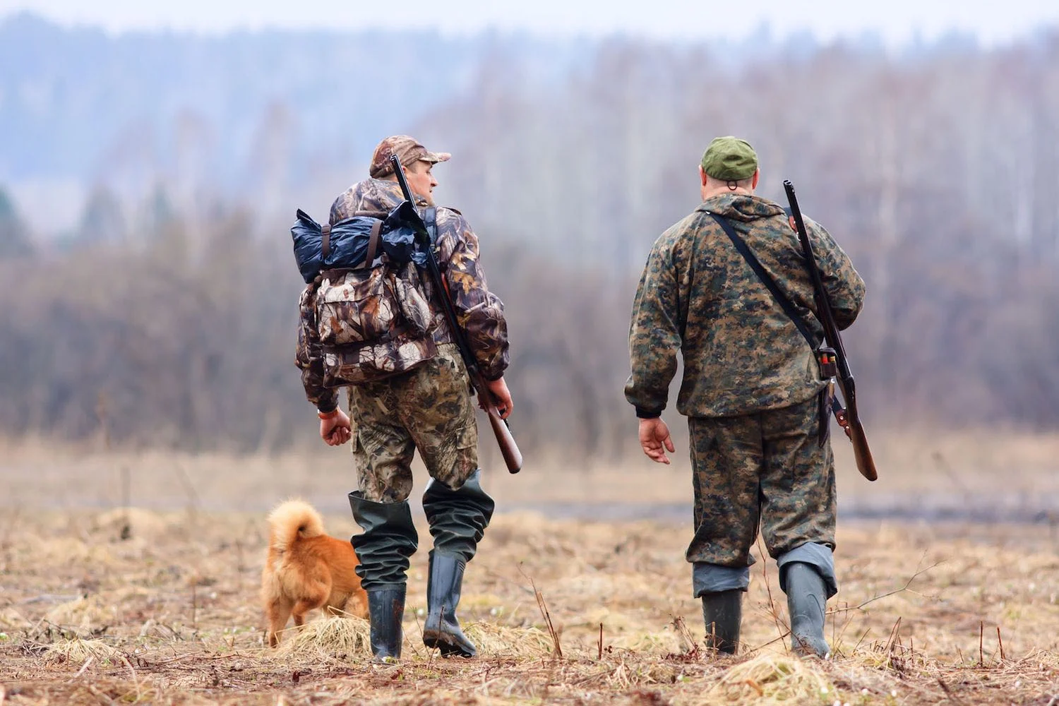 Scott Systems Hunting Contest