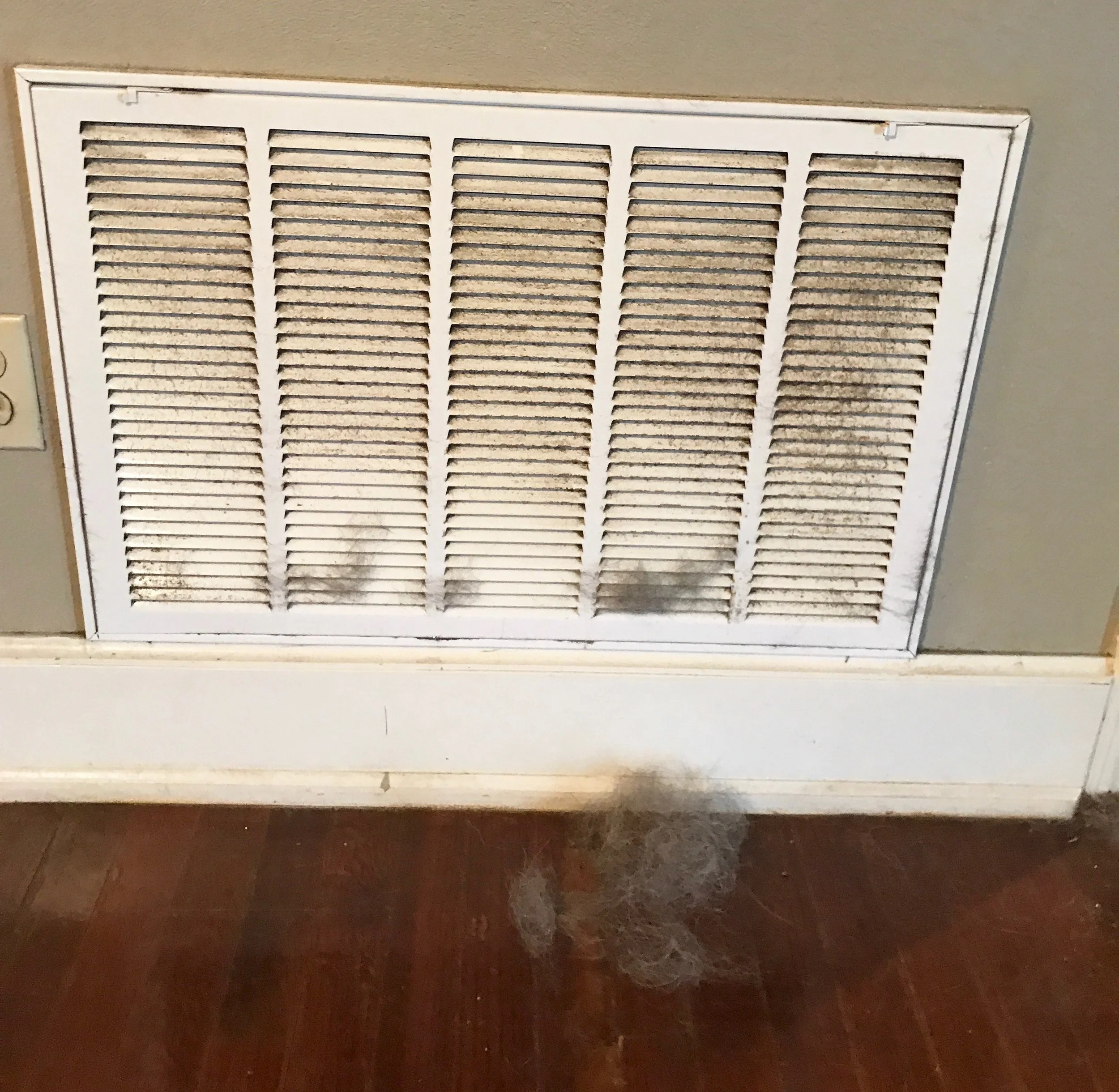 No, that isn’t Rover sitting just behind that vent, but it is his winter coat. Two months is the maximum time cap for a filter change, dog people and cat people -- we know you’re out there.