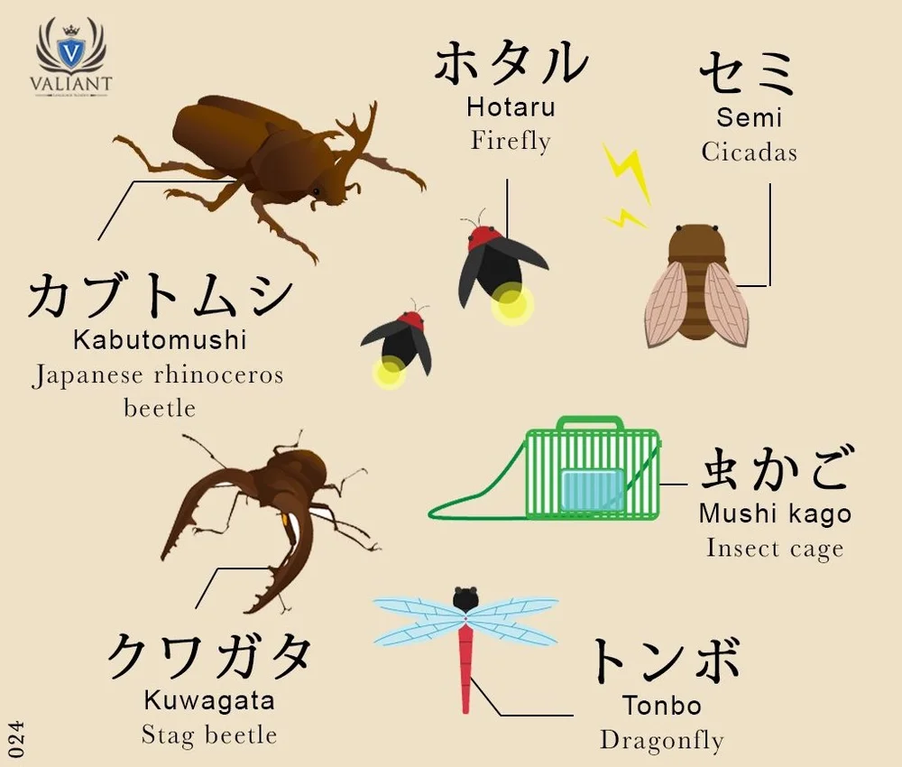 Japanese Summer Bugs We Love Bows Arrows Boutique Japonaise De Cadeaux