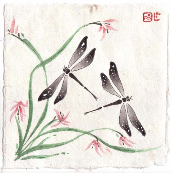chinese-dragonflies.jpg