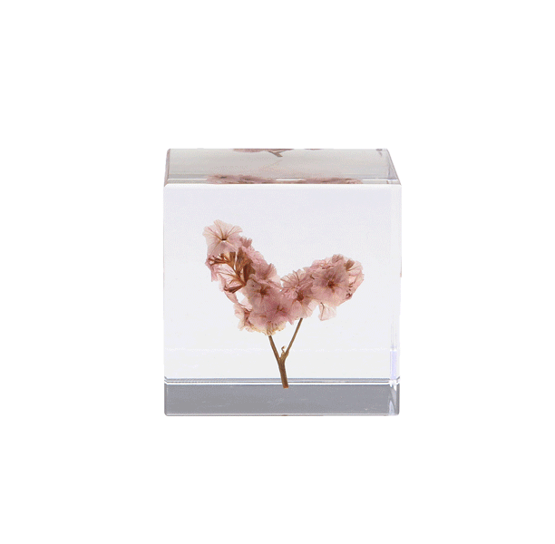 Newsletter_sola-cube.gif
