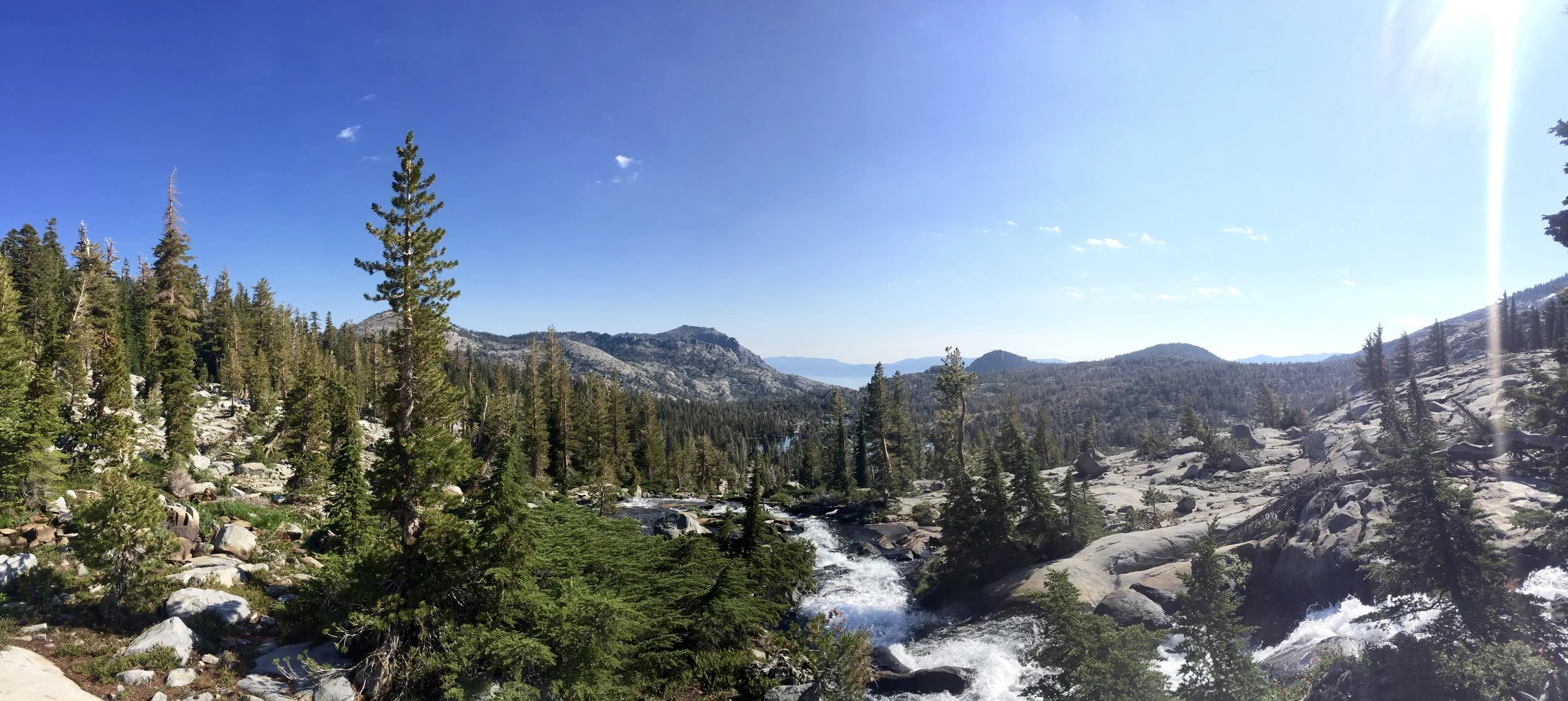 IMG_7385.jpg